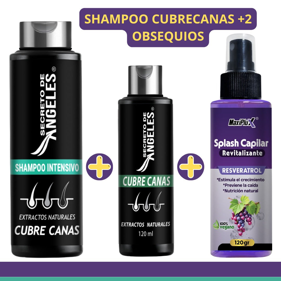 Shampoo Cubrecanas kit 3 en 1