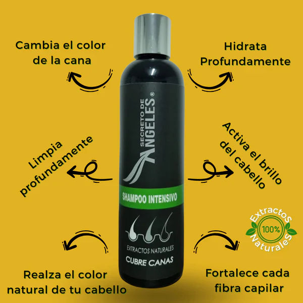 Shampoo Cubrecanas kit 3 en 1
