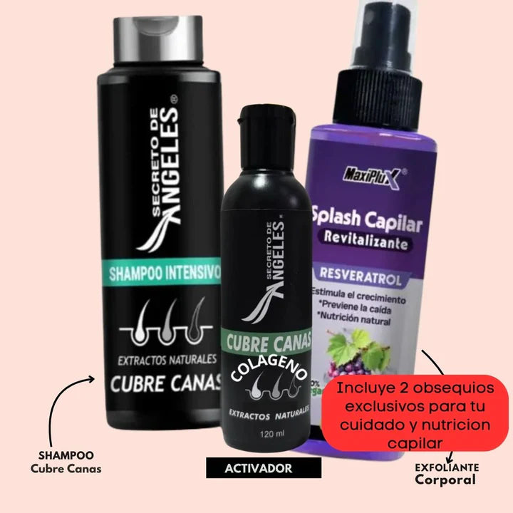 Shampoo Cubrecanas kit 3 en 1