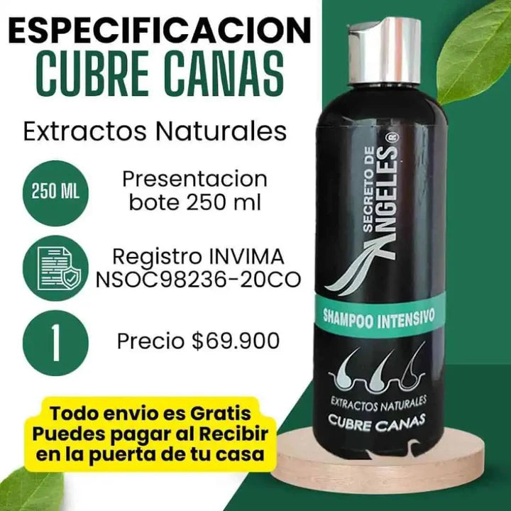 Shampoo Cubrecanas kit 3 en 1