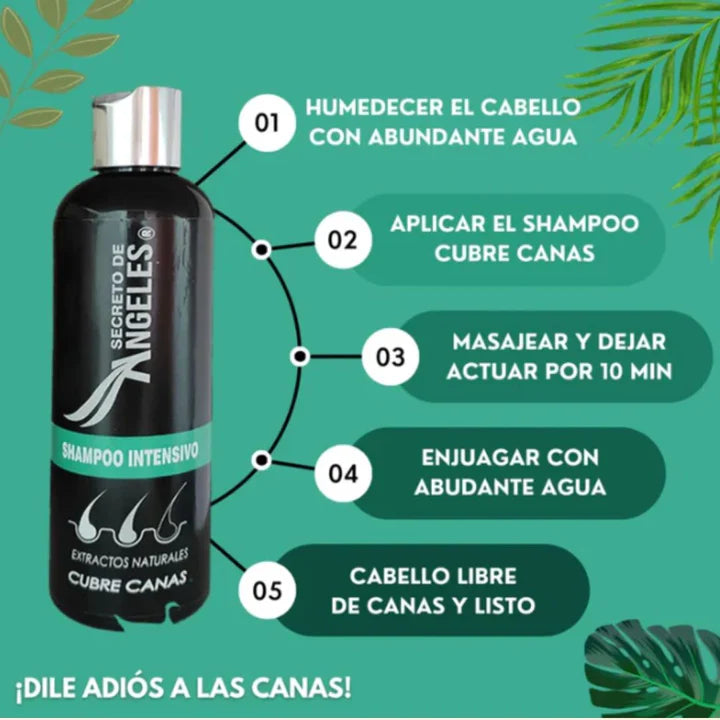 Shampoo Cubrecanas kit 3 en 1