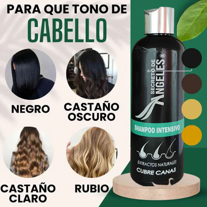 Shampoo Cubrecanas kit 3 en 1